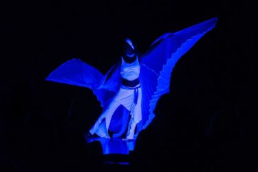 13-Comedy-Mix_160211-JK-44766