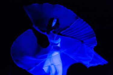 14-Comedy-Mix_160211-JK-44762